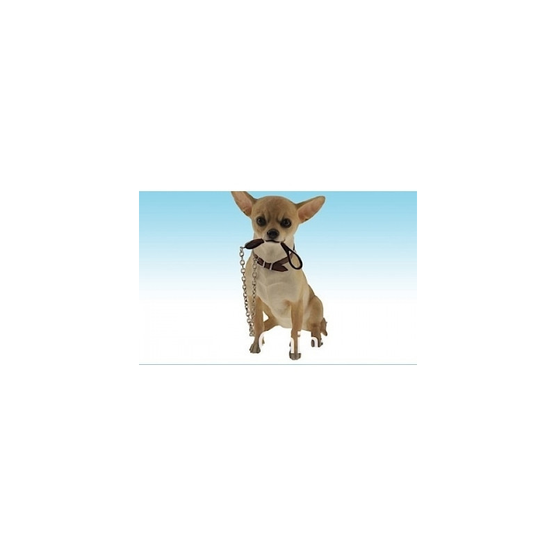 Chien Chihuahua assis moyen modèle LP14966 sur Ambiance Plaisir