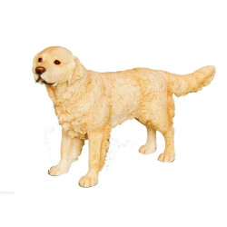 Chien Golden Retriever LP14279 sur Ambiance Plaisir