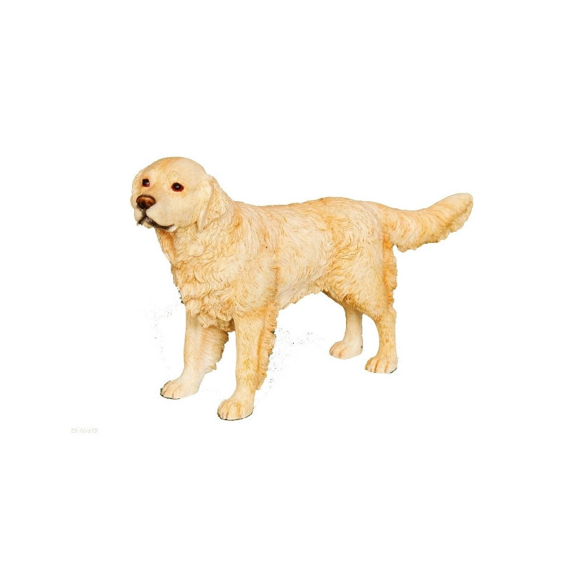 Chien Golden Retriever LP14279 sur Ambiance Plaisir