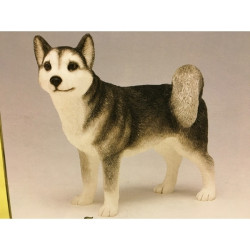 Chien Husky LP3019 sur Ambiance Plaisir