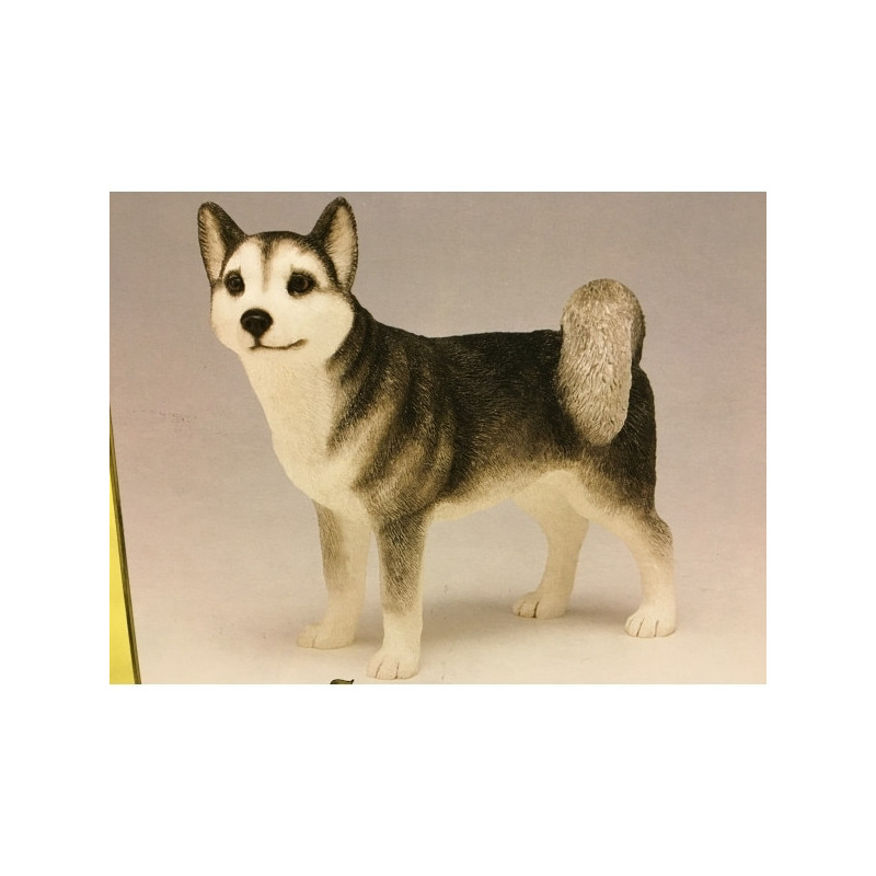 Chien Husky LP3019 sur Ambiance Plaisir