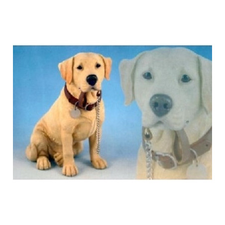 Chien Labrador sable assis moyen modèle LP13135 sur Ambiance Plaisir