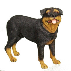Chien Rottweiller LP4156 sur Ambiance Plaisir