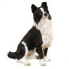 Chien Rough collie LP4037 sur Ambiance Plaisir