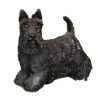 Chien Scotty résine LP1822 sur Ambiance Plaisir