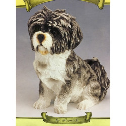 Chien Shih Tzu gris assis LP12810 sur Ambiance Plaisir