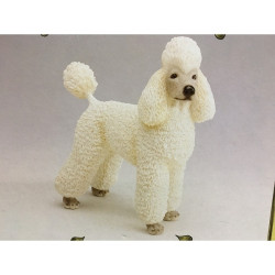 Poodle blanc LP6920 sur Ambiance Plaisir