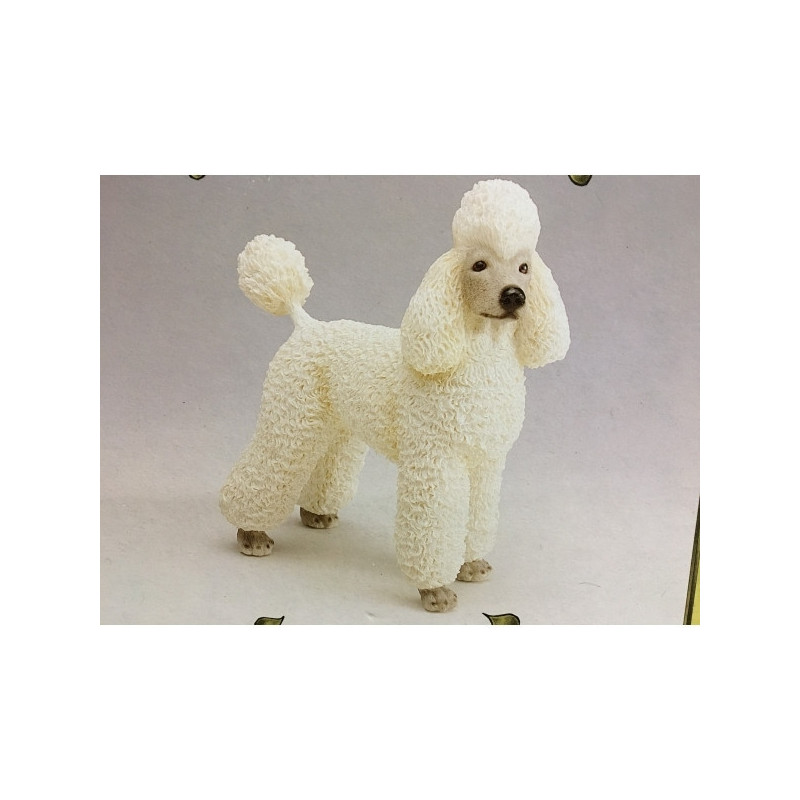 Poodle blanc LP6920 sur Ambiance Plaisir