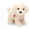 Peluche chien maltais debout 23 cm Hermann  sur Ambiance Plaisir