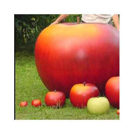 Mini pomme rouge classique diam 5cm Cores Da Terra