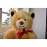 Peluche ours géant Chocolats Lindt Edition limitée sur Ambiance Plaisir