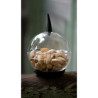 Cloche moderne avec bouton silicone Art Table Moderne Cloche9 sur Ambiance Plaisir