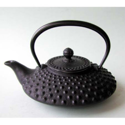 Théière plat iwachu motif traditionnelle noire   0,5 l  tierrazen -tt13001bk sur Ambiance Plaisir