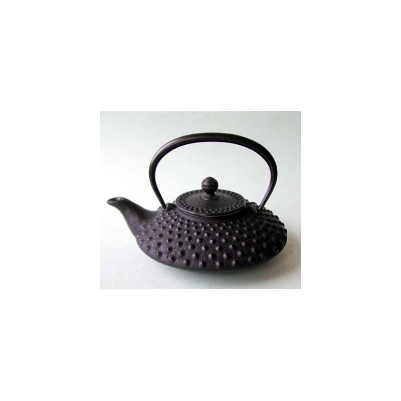 Théière plat iwachu motif traditionnelle noire   0,5 l  tierrazen -tt13001bk sur Ambiance Plaisir