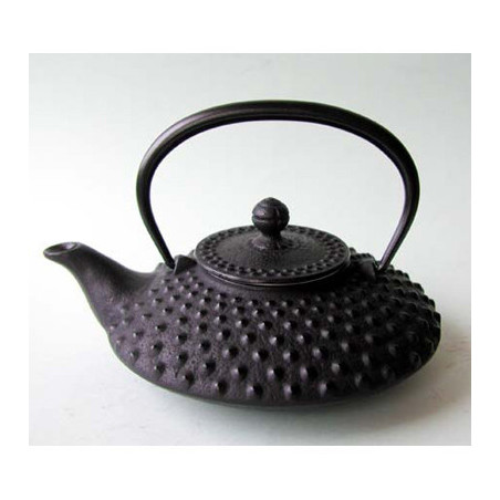 Théière plat iwachu motif traditionnelle noire   0,5 l  tierrazen -tt13001bk sur Ambiance Plaisir