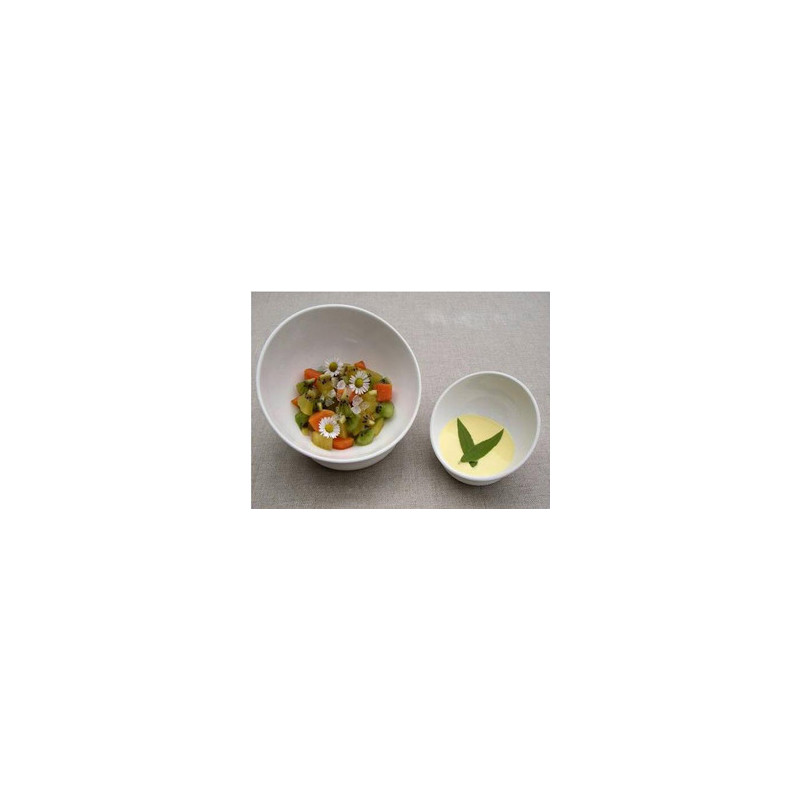 2 Bols 14 cm avec anneau silicone SiloBowl Art Table Moderne SB14 sur Ambiance Plaisir