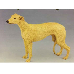 Chien Lévrier LP14275 sur Ambiance Plaisir (2)