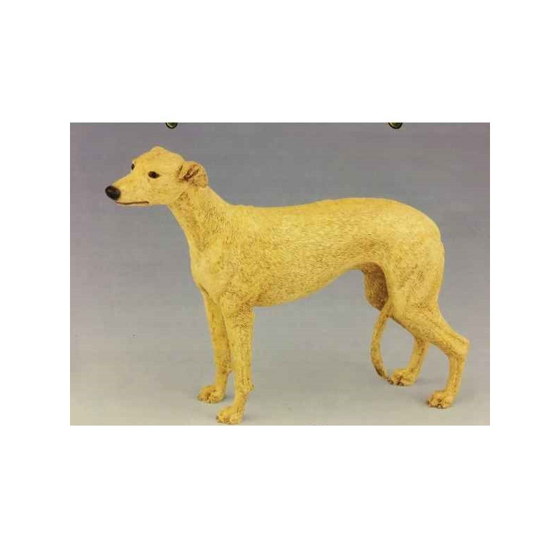 Chien Lévrier LP14275 sur Ambiance Plaisir