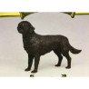 Chien Retriever noir LP8275 sur Ambiance Plaisir