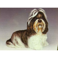 Chien Shih tzu LP8194 sur Ambiance Plaisir (2)