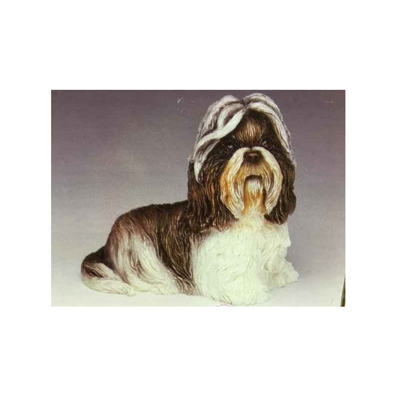Chien Shih tzu LP8194 sur Ambiance Plaisir