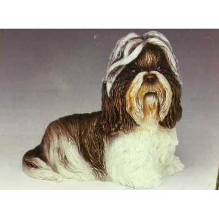 Chien Shih tzu LP8194 sur Ambiance Plaisir