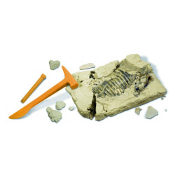 Gw dino excav kit - stygimoloch - 28cm Geoworld -CL171K sur Ambiance Plaisir