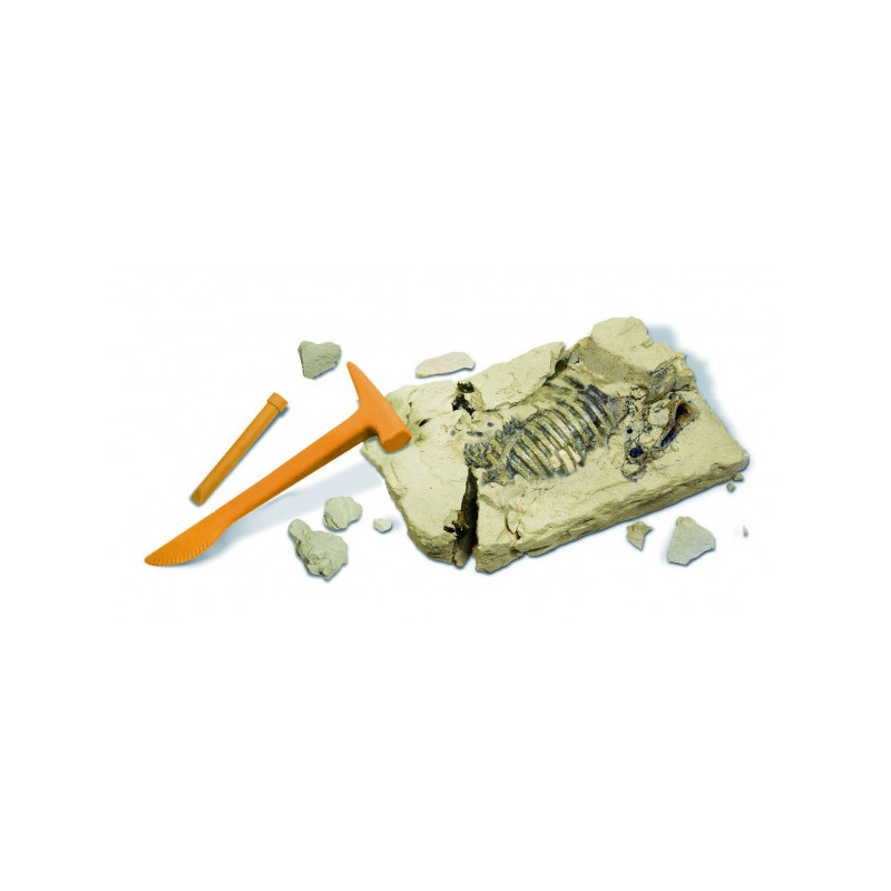 Gw dino excav kit - stygimoloch - 28cm Geoworld -CL171K sur Ambiance Plaisir