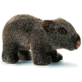 Anima - Peluche wombat bébé 24 cm -2788