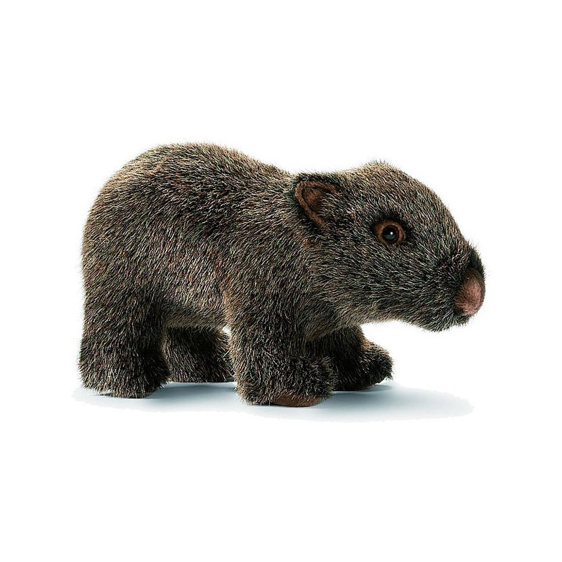Anima - Peluche wombat bébé 24 cm -2788
