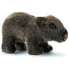 Anima - Peluche wombat bébé 24 cm -2788