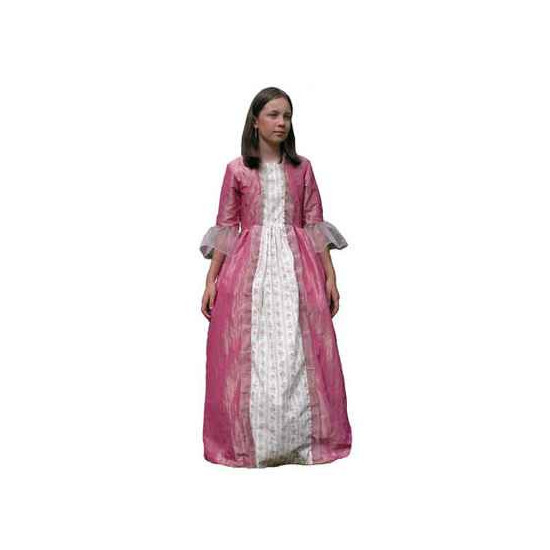 Au fil des contes - Robe de marquise rose avec fleurs Taille 6 ans sur Ambiance Plaisir